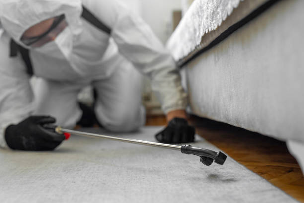 Professional Pest Control technician working in Clay County County, NC